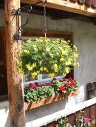 Blumenschmuck vor Haus