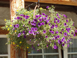 Blumenschale